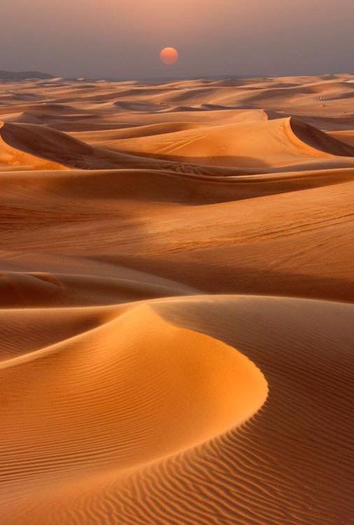 In the picture: The Thar Desert – TrulyPakistan – 11 Wildest Places in Pakistan for a Serious Adventure