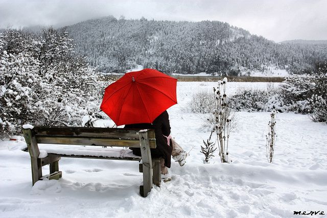 In the picture: Umbrella for Winter Traveling – TrulyPakistan – Seven Things to Pack for Travelling in the Winter in the Twin Cities
