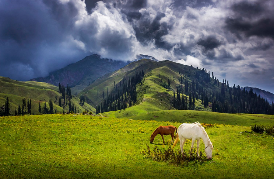 In the picture: Shogran and Siri-Paye – TrulyPakistan – 11 Wildest Places in Pakistan for a Serious Adventure