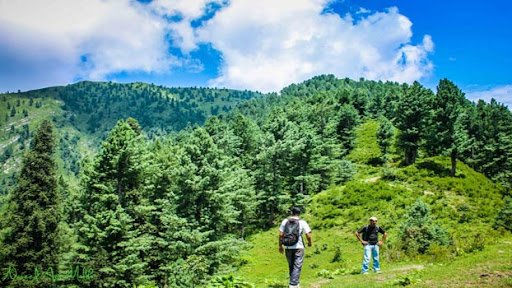 In the picture: Trekking in Margalla Hills – TrulyPakistan – Reaching Margalla Hills in No Time!