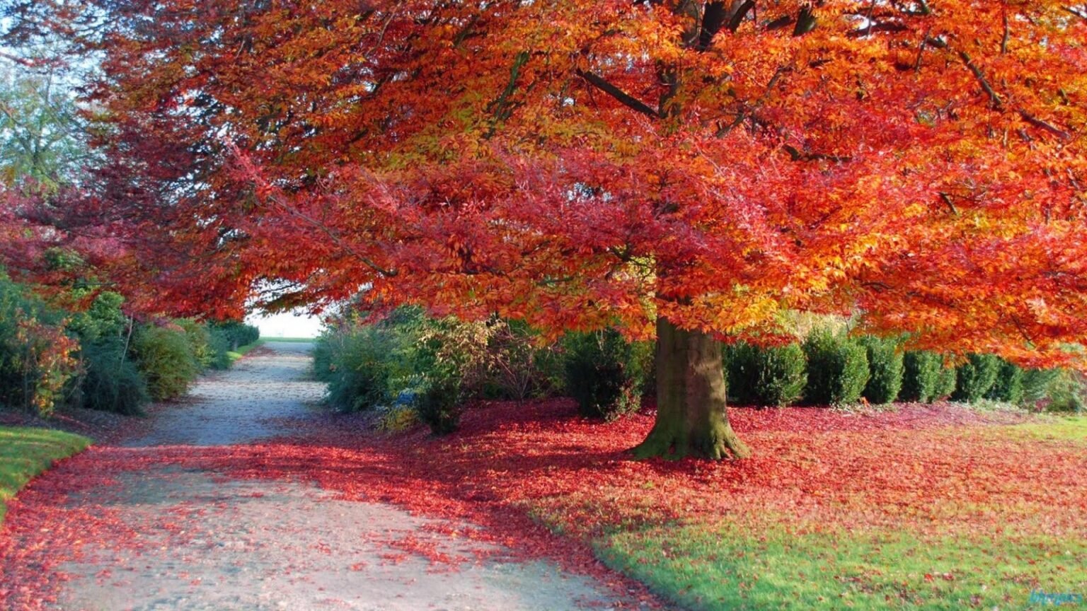 Pakistan Weather Seasons Names