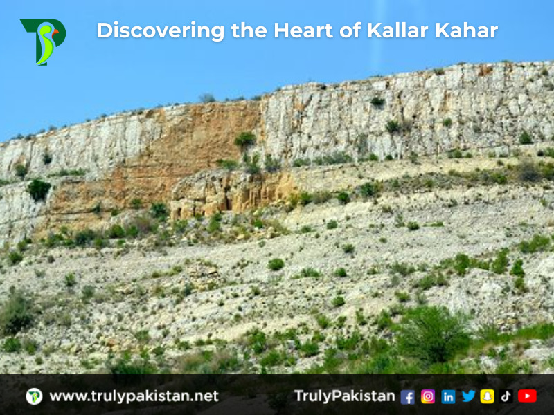 Kallar Kahar Valley | Discovering the Heart of Kallar Kahar