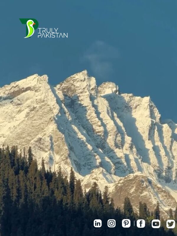 International Mountain Day Pakistan