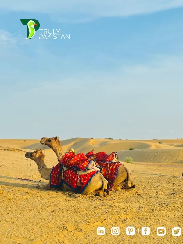 Thar Desert In Pakistan