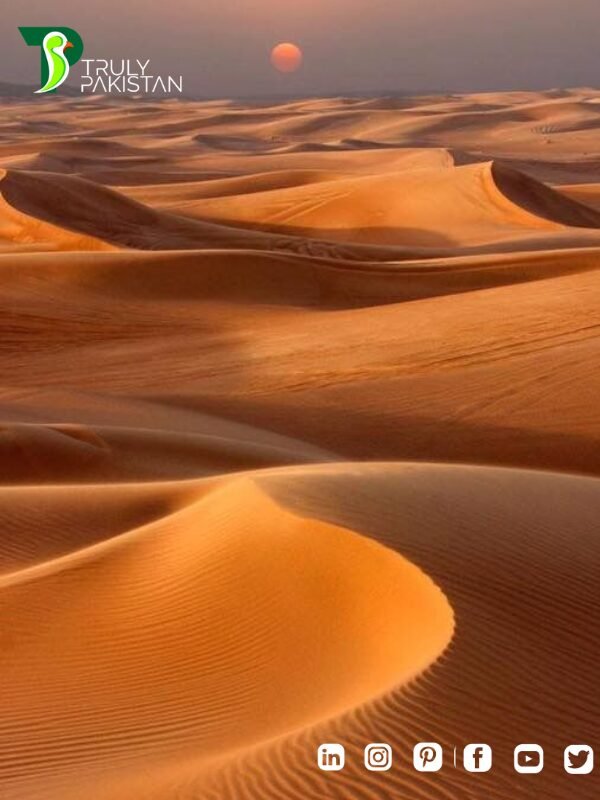 cholistan desert of pakistan