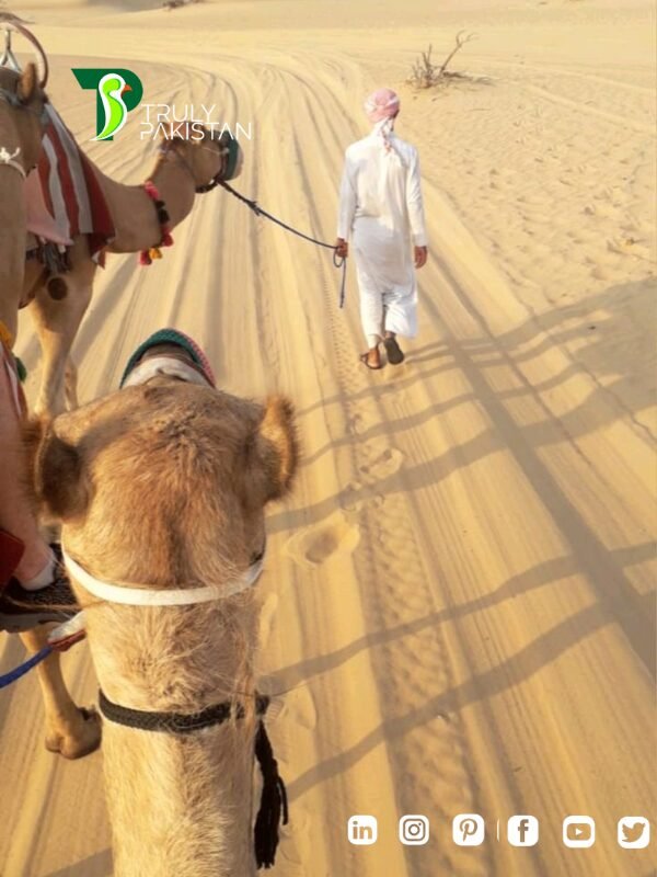 Desert Safari in Pakistan