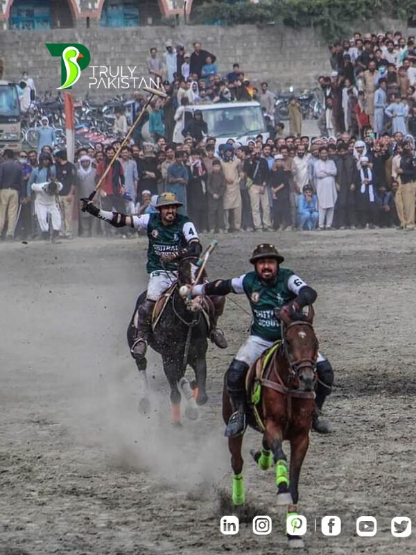 pakistan's polo culture