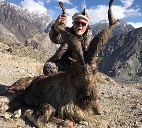 Markhor conservation