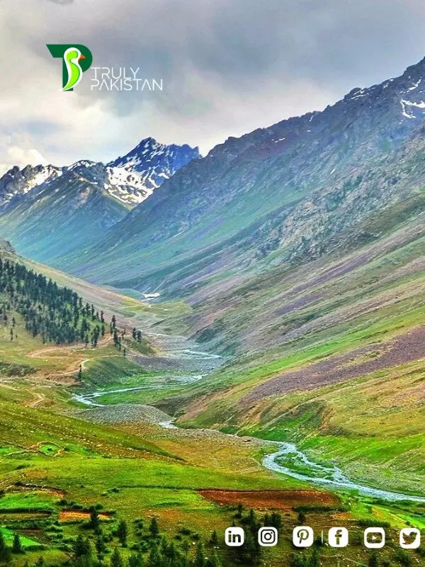deosai national park