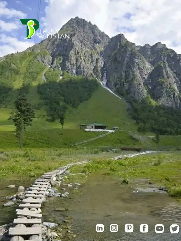Minimarg Pakistan