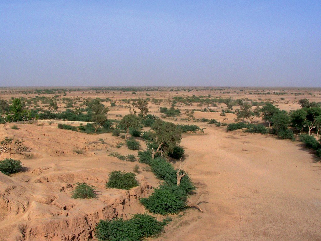 Cholistan Desert (Punjab) 