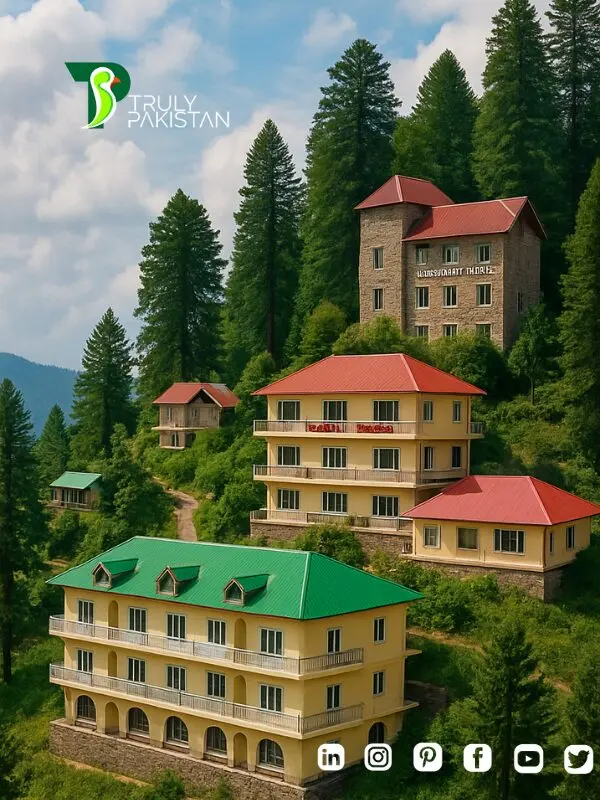best hotels in Nathia Gali Pakistan