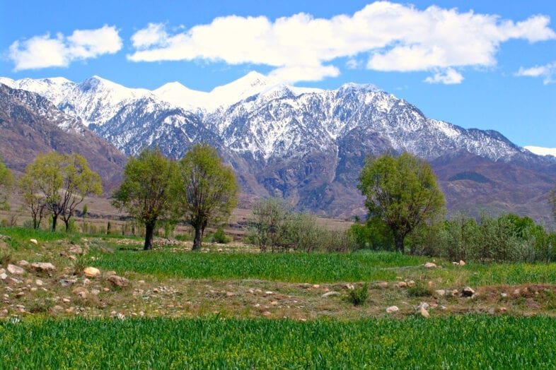 Lush green fields with scattered trees in Parachinar, set against a dramatic backdrop of snow-covered mountains under a partly cloudy sky in Kurram District, Pakistan.