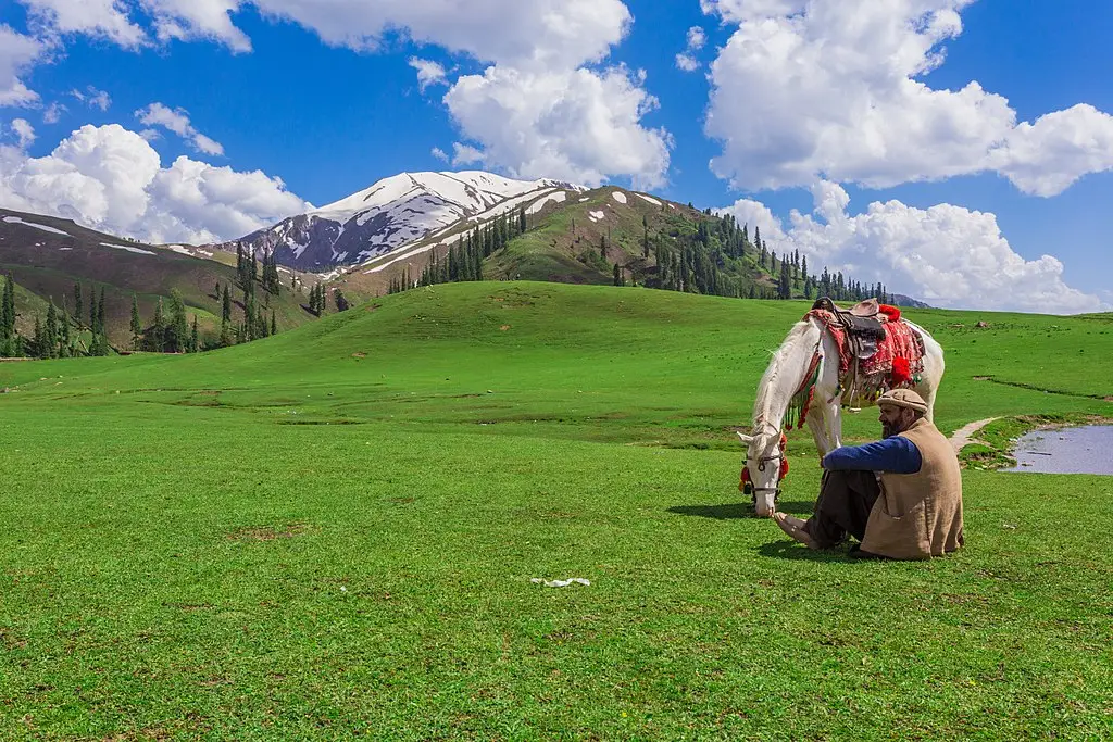 A man resting beside a white horse on the lush green Siri Paye Meadows in Shogran, with pine trees, snow-draped peaks, and scattered clouds under a vivid blue sky.