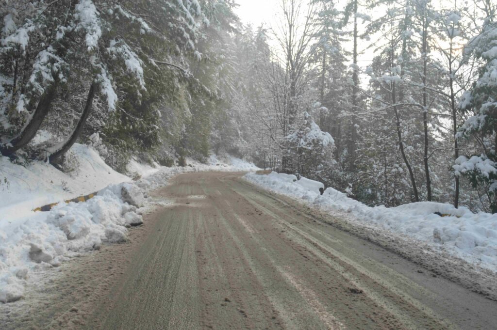 A snow-covered road winding through tall pine trees in Murree after a fresh snowfall, with tire tracks on the slushy surface and sunlight peeking through the forest canopy.