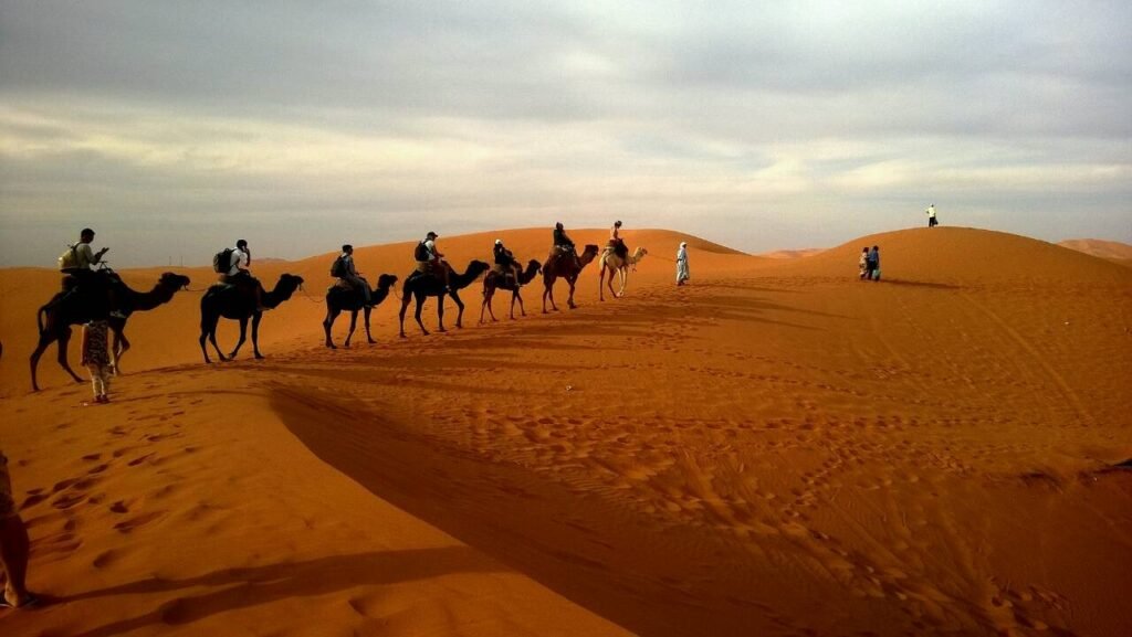 Deserts Of Pakistan: Explore Thar, Cholistan & Katpana