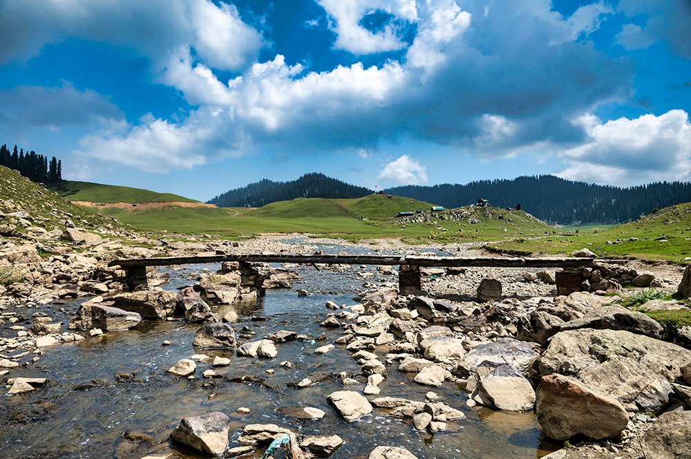 Rolling green meadows and alpine forests in Bangus Valley Kashmir