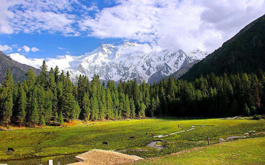 Green meadows and tents with Nanga Parbat’s snow-covered peak in the distance