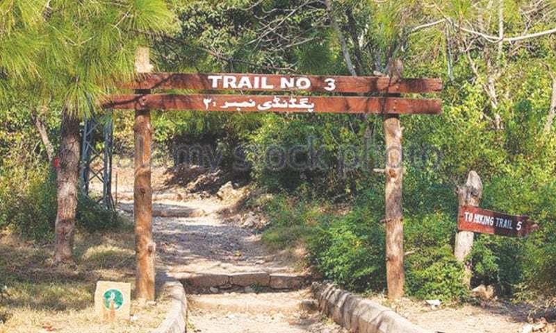 Group of hikers ascending Trail 3 in Margalla Hills, showing the steep climb and forested surroundings popular with fitness enthusiasts.