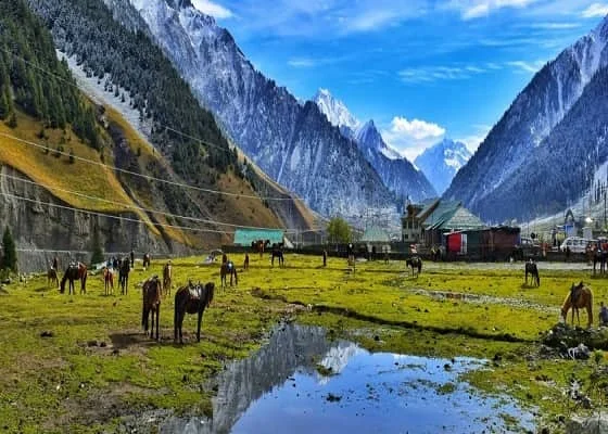Pahalgam Valley Kashmir