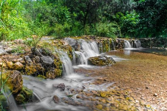 Shaded section of Trail 5 in Margalla Hills with hikers walking alongside a stream, highlighting the family-friendly and scenic nature of this route.