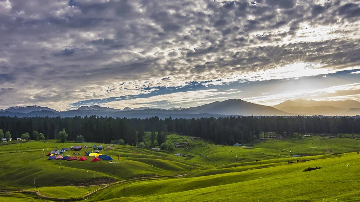 Meadows and pine forests at Yusmarg, the secret valley of Kashmir