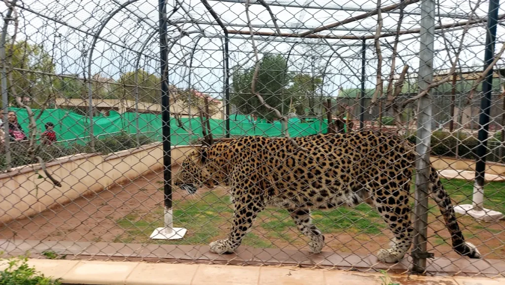Bahria Enclave Zoo TIger photo