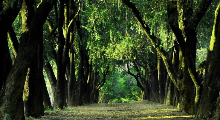 F7 Park Islamabad