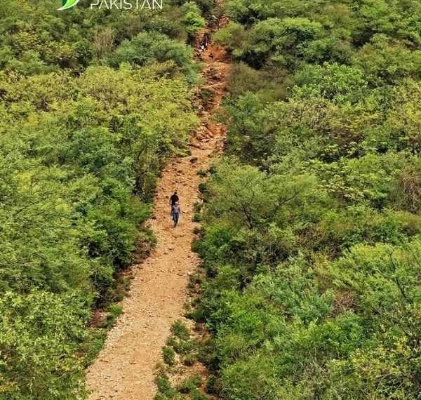 Hiking Trails in Islamabad