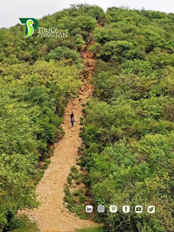 Hiking Trails in Islamabad