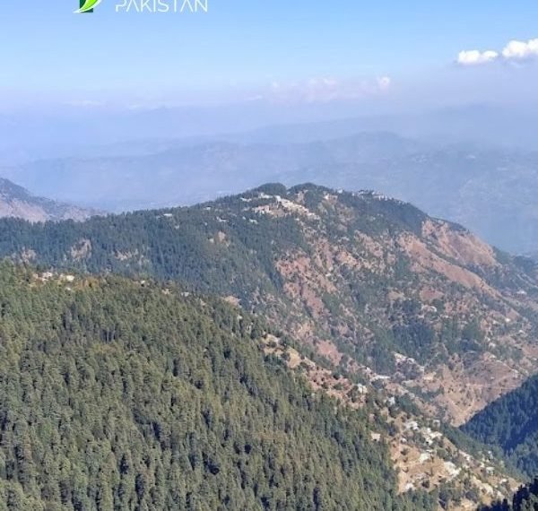 Places to Visit in Nathia Gali