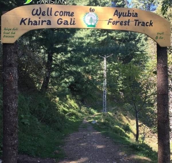 Pipeline Track Nathia Gali