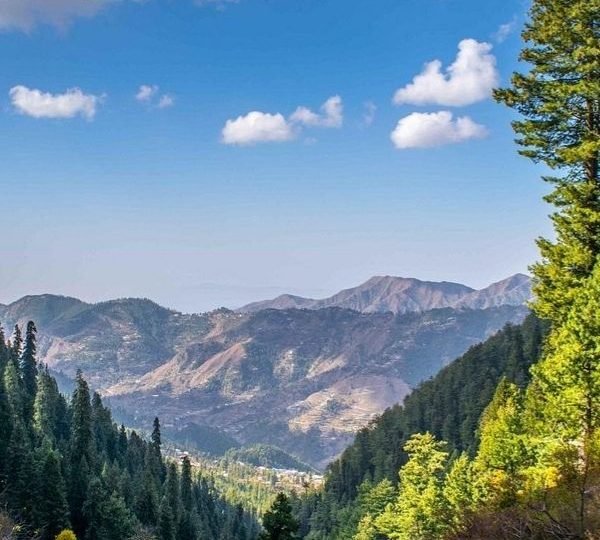 Paradise Point Nathia Gali