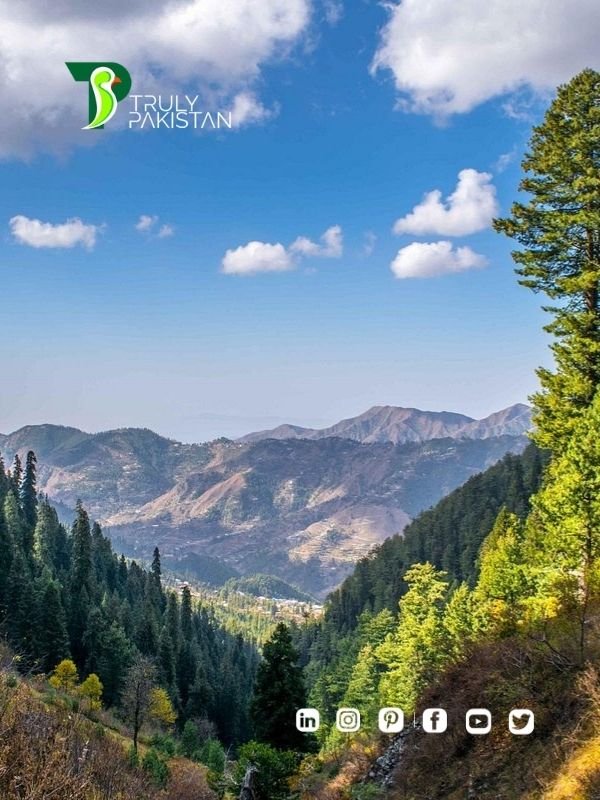 Paradise Point Nathia Gali