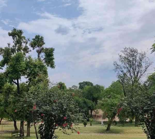 F7 Park Islamabad