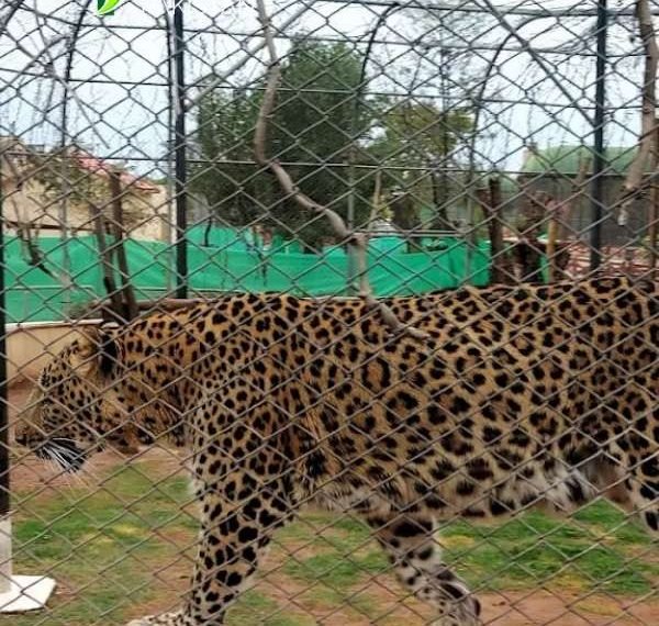 Bahria Enclave Zoo