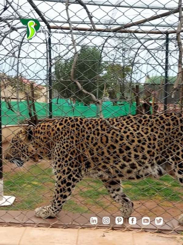 Bahria Enclave Zoo
