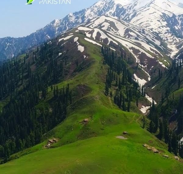 Siri Paye Shogran
