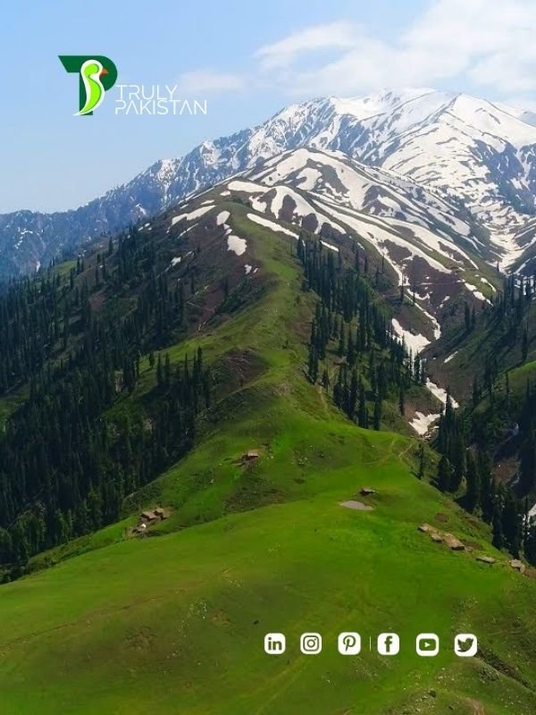 Siri Paye Shogran