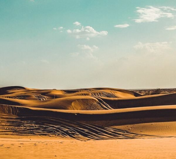 Largest Desert of Pakistan: Thar Desert
