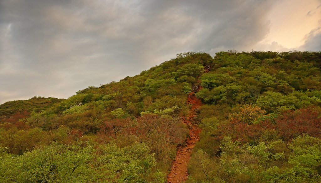 Hiking Trails in Islamabad