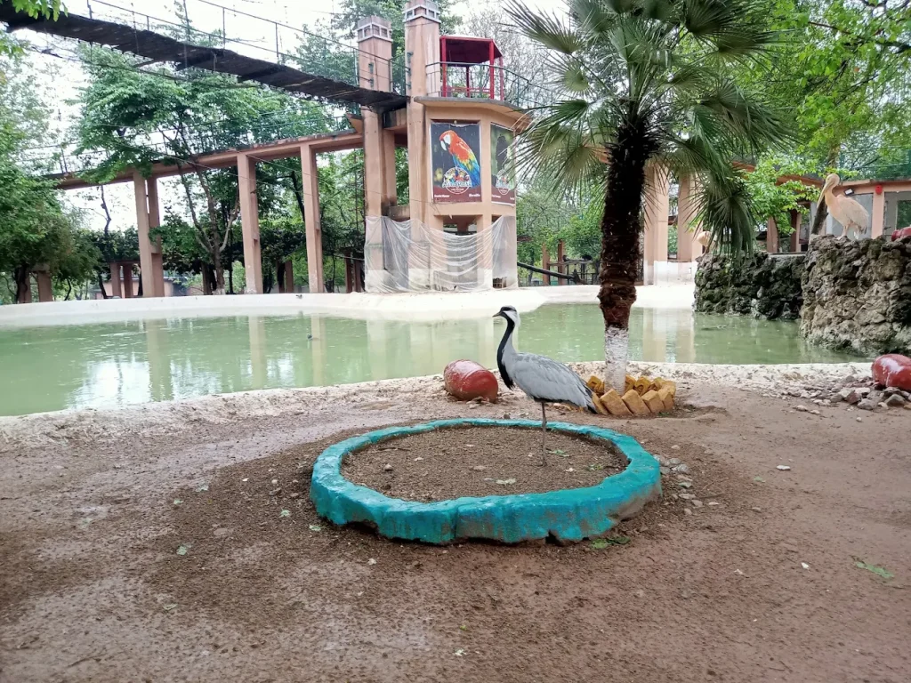 Lake View Park Zoo section Islamabad