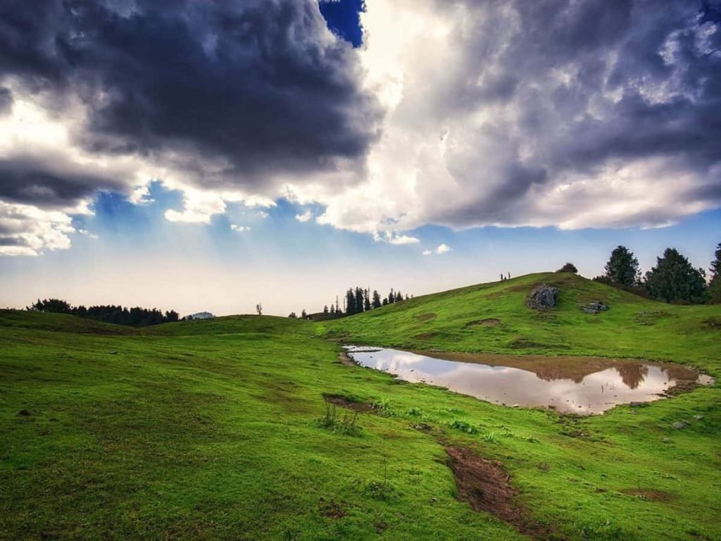 Mushkpuri Top