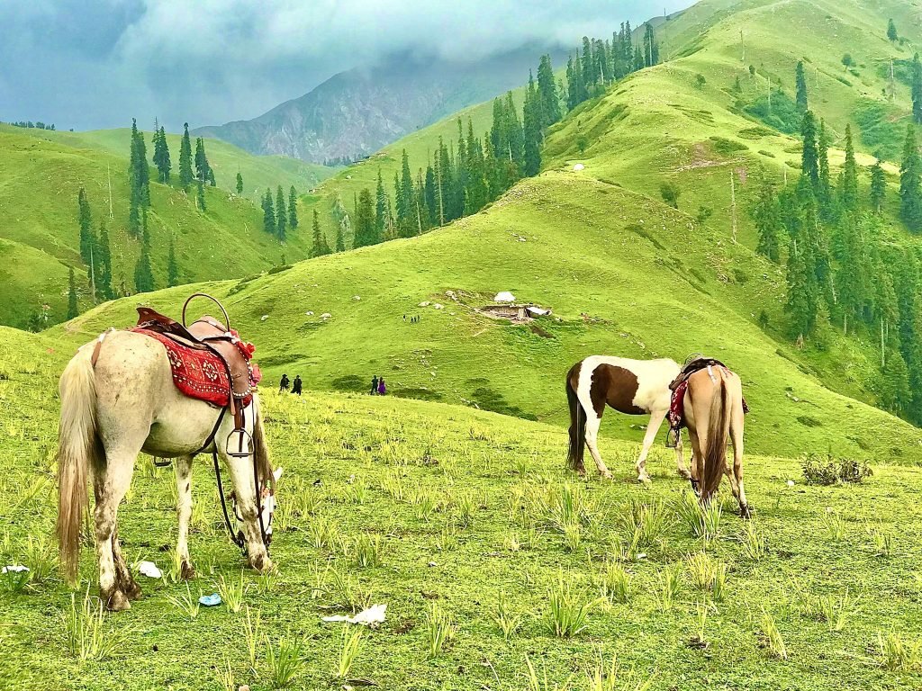 Siri Paye Meadows of pakistan