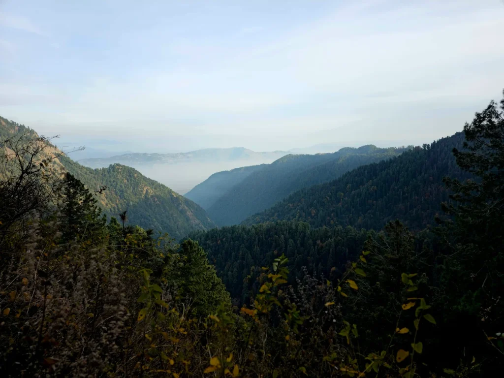 Pipeline Track Nathia Gali