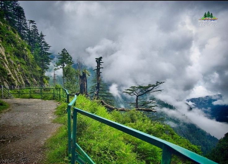 Pipeline Track Nathia Gali Trail