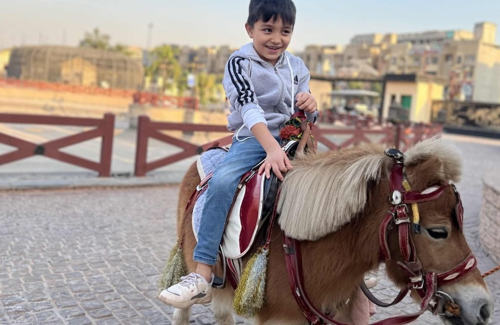 Bahria Enclave Zoo Ponies