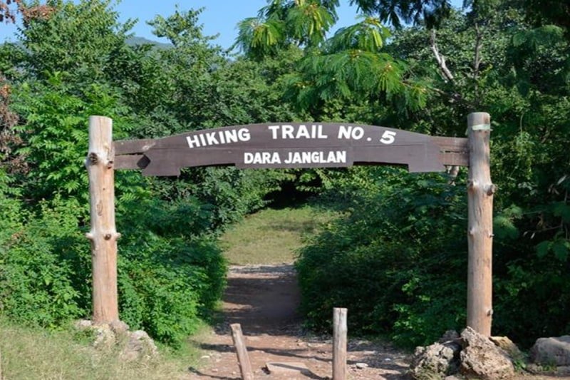 Trail 5 Islamabad
