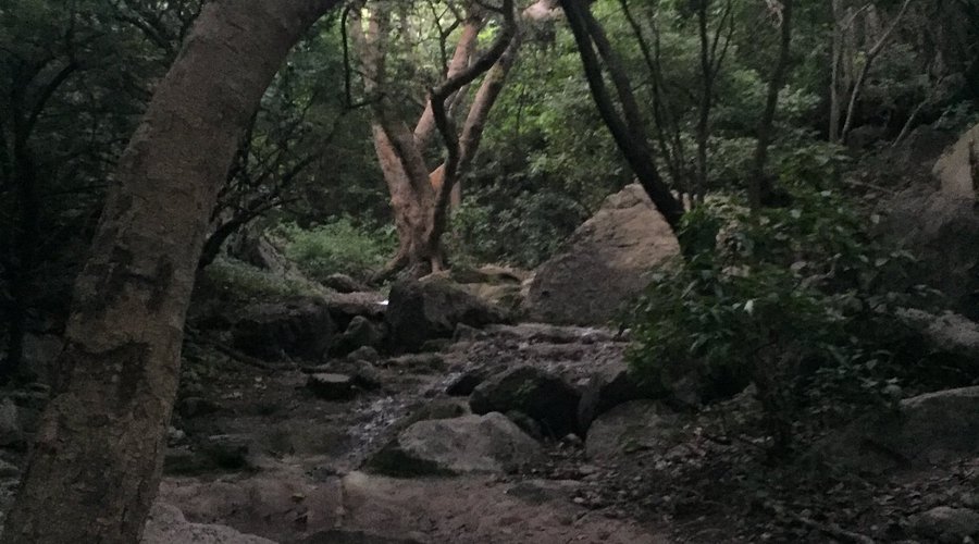 Trail 6 Islamabad