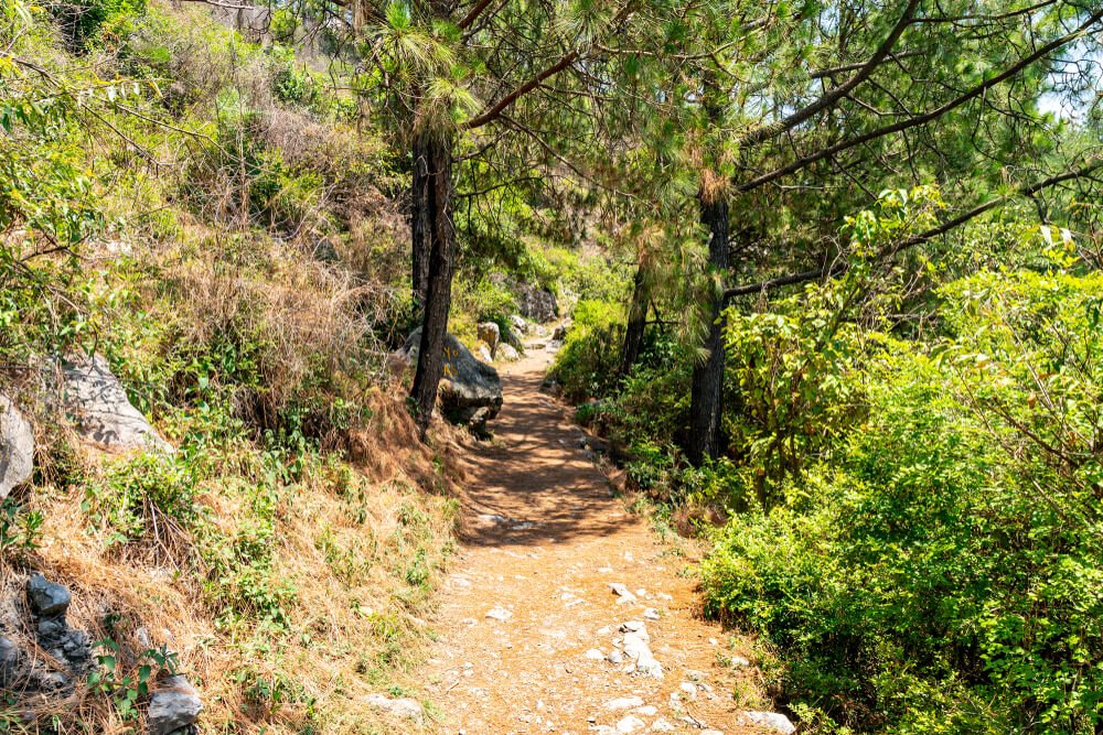 Zoo to Daman-e-Koh